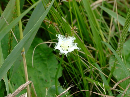 d0105063_11243532.jpg