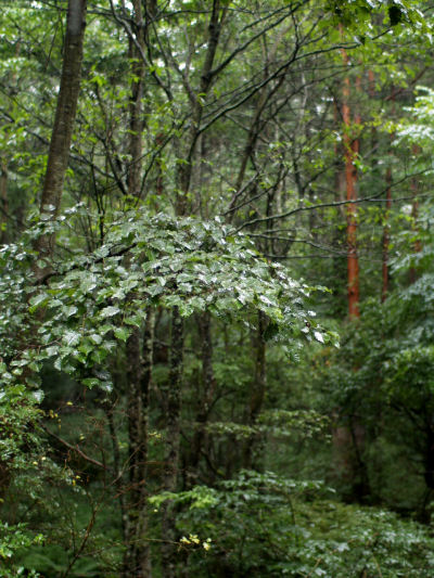 f0107364_1030196.jpg