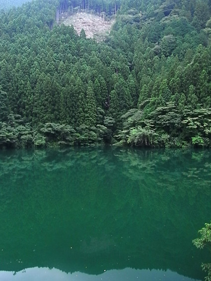 c0048265_12535747.jpg