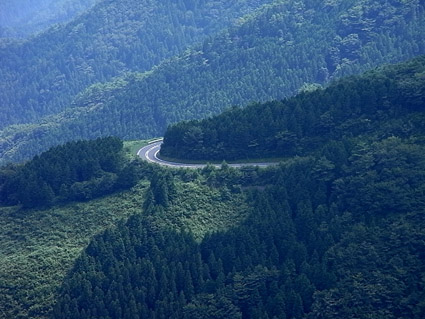c0048265_13254939.jpg