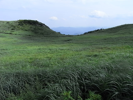 c0048265_13255638.jpg