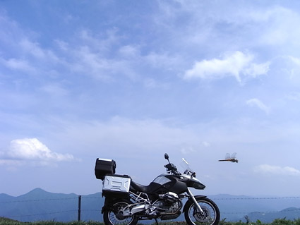 c0048265_1326429.jpg