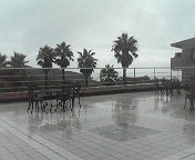 f0009781_14174041.jpg