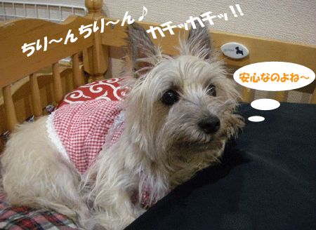 e0066883_2132191.gif