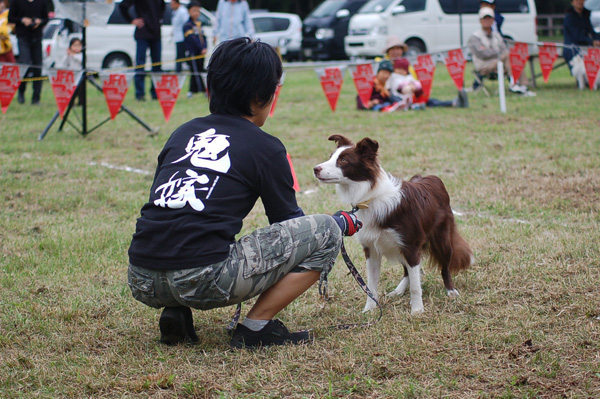 d0101385_10593743.jpg