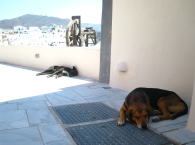 f0060585_1851925.jpg