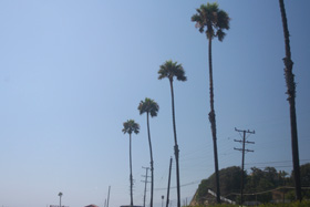 c0033994_14161316.jpg