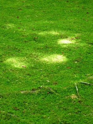 d0101704_22121632.jpg