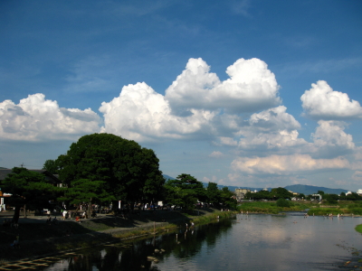 d0101704_22131057.jpg
