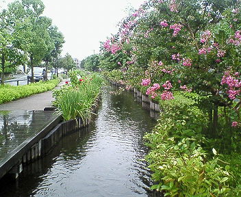 c0017505_1623531.jpg