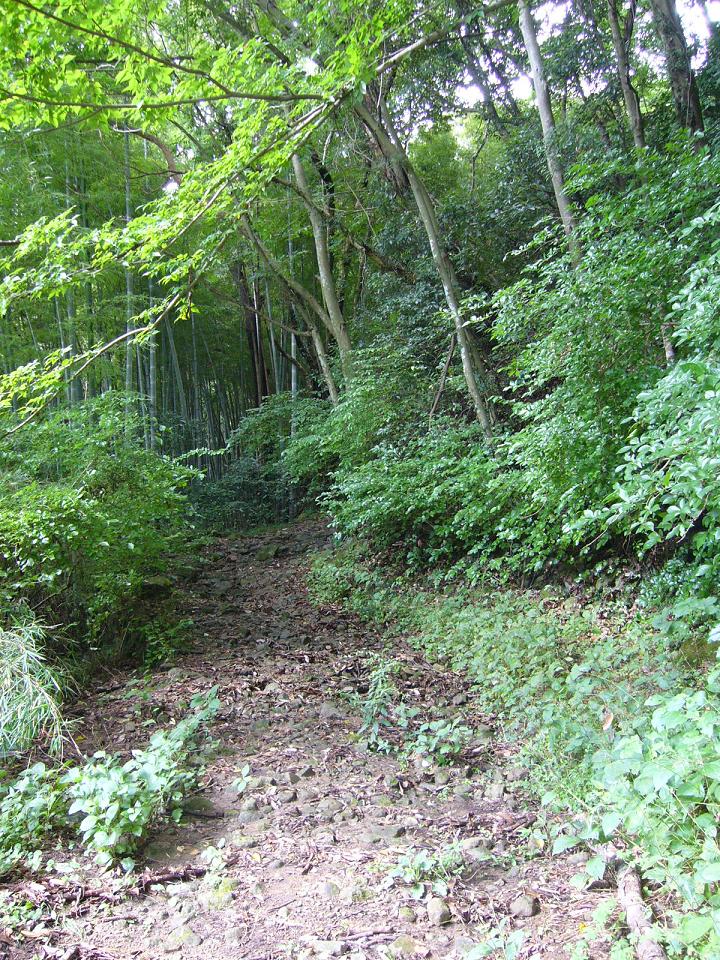 e0015108_234567.jpg
