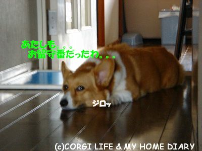 c0153410_21323765.jpg