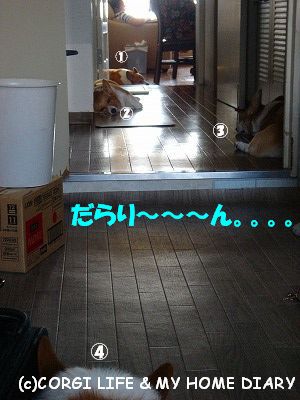 c0153410_21392783.jpg