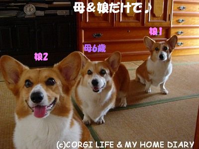 c0153410_21424819.jpg