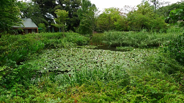 c0109827_1640233.jpg