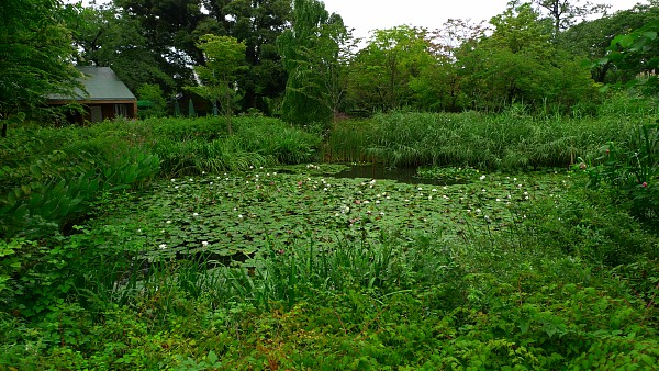 c0109827_16405747.jpg