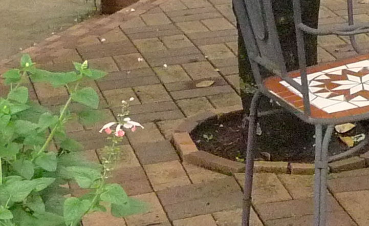 c0109827_1721926.jpg
