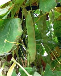 a0046429_19553322.jpg