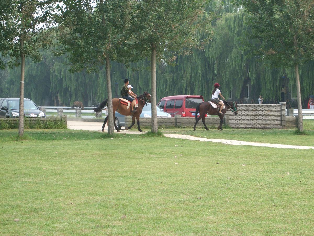 f0139029_1042993.jpg