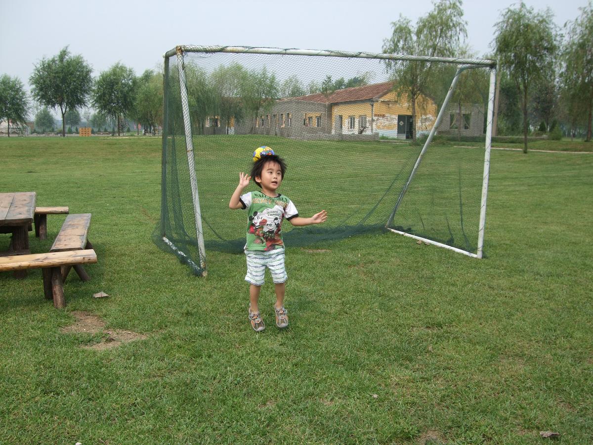 f0139029_1062533.jpg