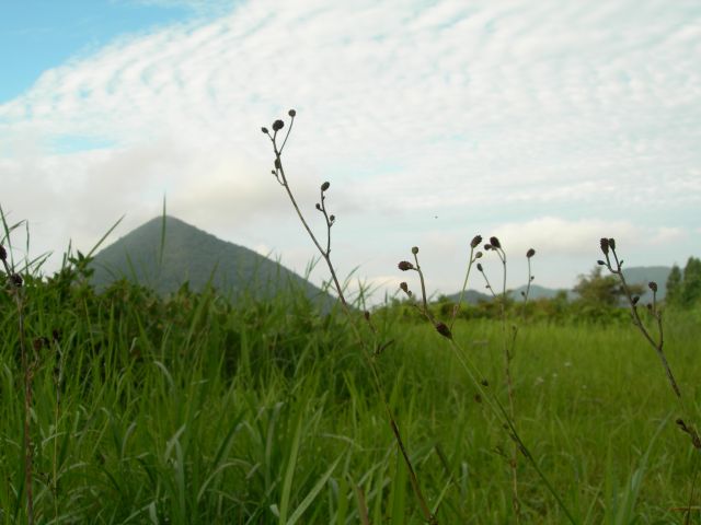 e0145033_18451139.jpg