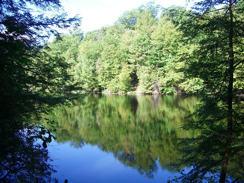 c0064534_3245739.jpg