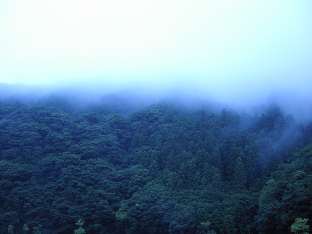 f0039934_020253.jpg