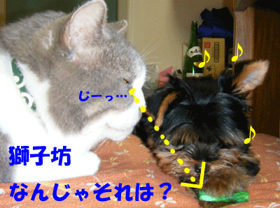 f0008935_17142271.gif