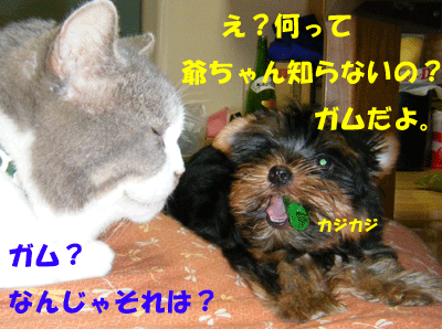 f0008935_17143396.gif