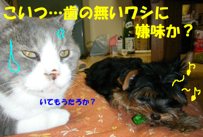 f0008935_17145482.gif