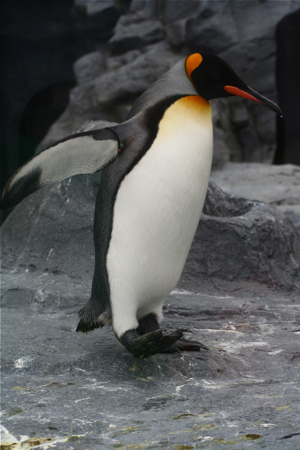 a0003138_2326869.jpg