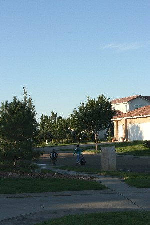 e0104941_02424.jpg