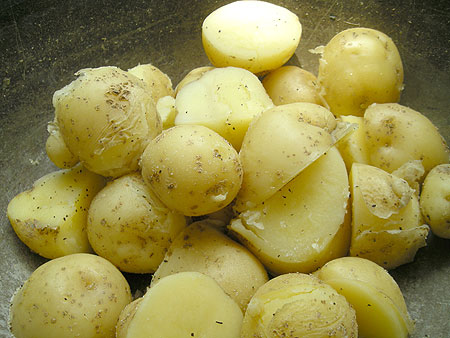 f0001841_8395981.jpg