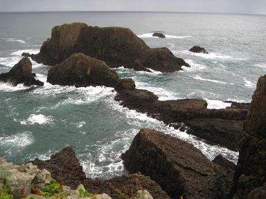 f0005043_22343031.jpg