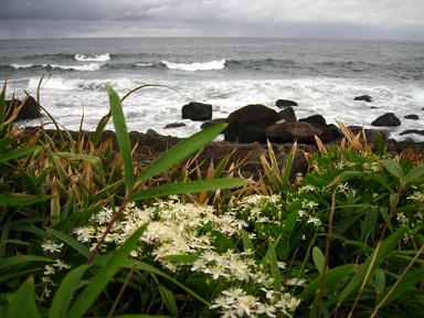 f0005043_2249639.jpg