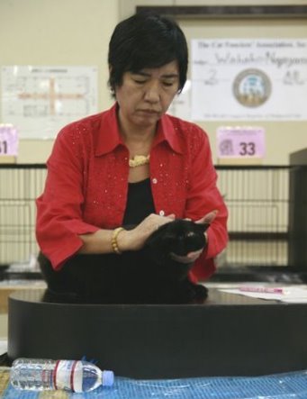 f0154649_2132365.jpg