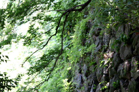 a0024250_2059367.jpg