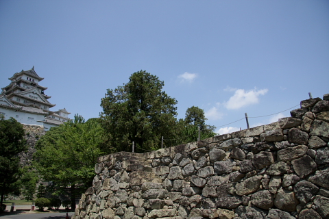 a0024250_211975.jpg