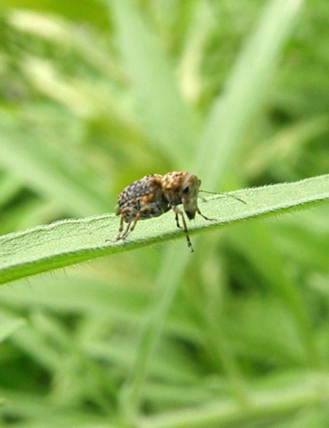e0064158_002965.jpg