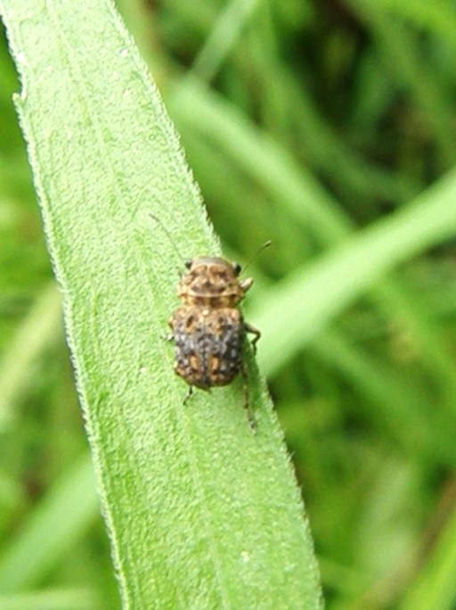 e0064158_004538.jpg