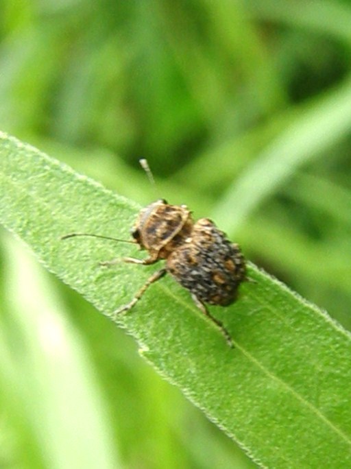 e0064158_01158.jpg
