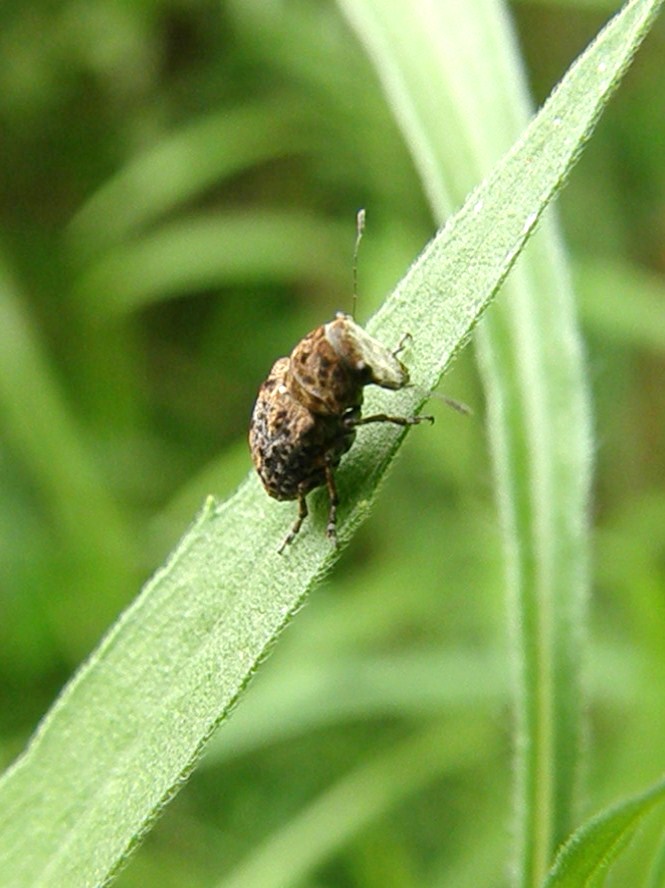 e0064158_021488.jpg