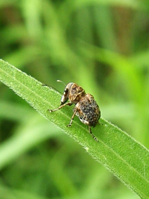 e0064158_023169.jpg