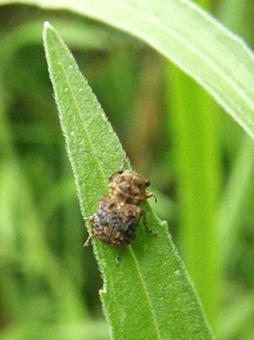 e0064158_032138.jpg