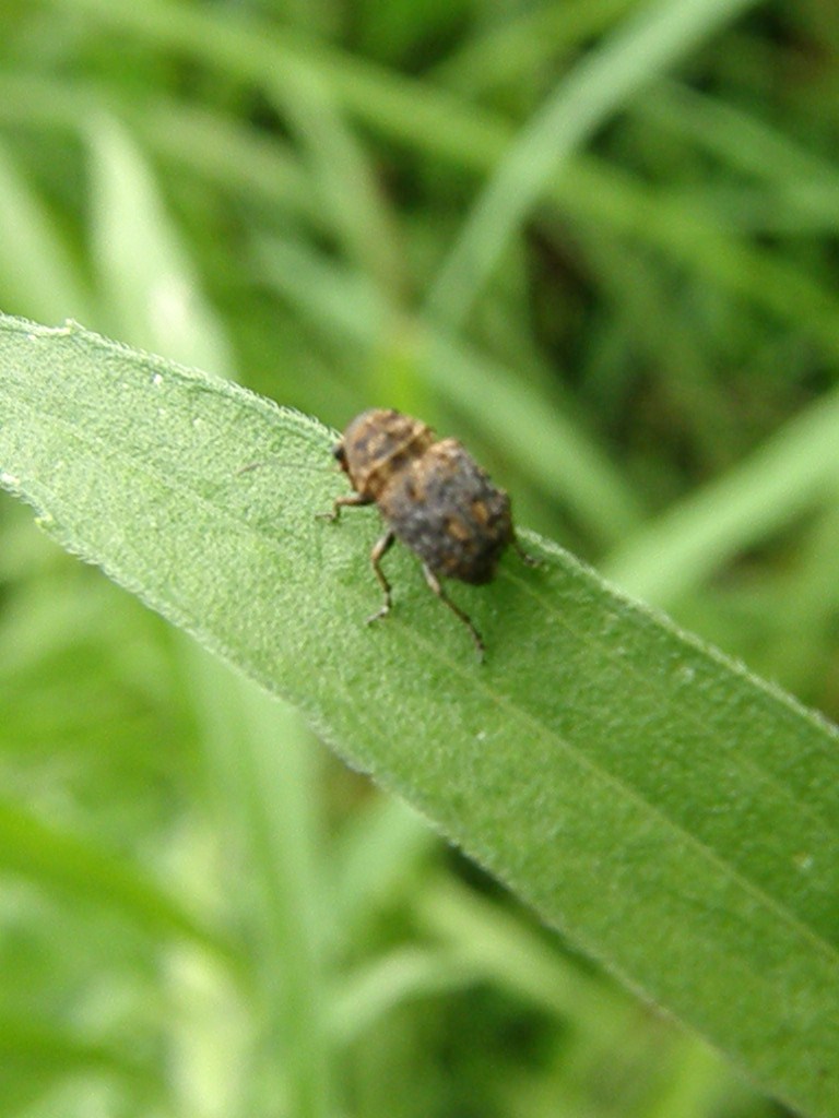 e0064158_033853.jpg