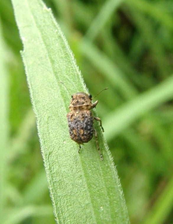 e0064158_044919.jpg