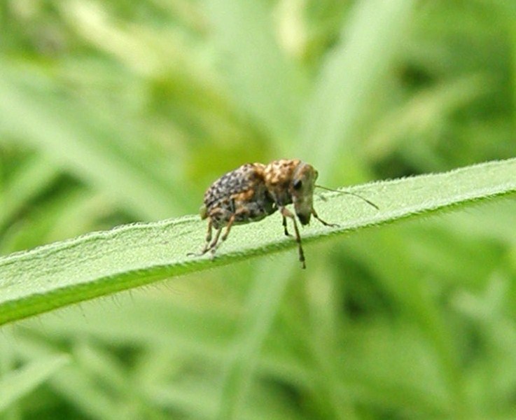 e0064158_052268.jpg