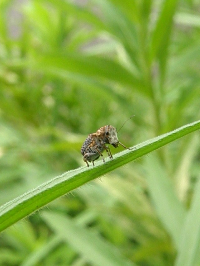 e0064158_053977.jpg