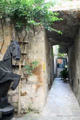 f0077159_5271018.jpg