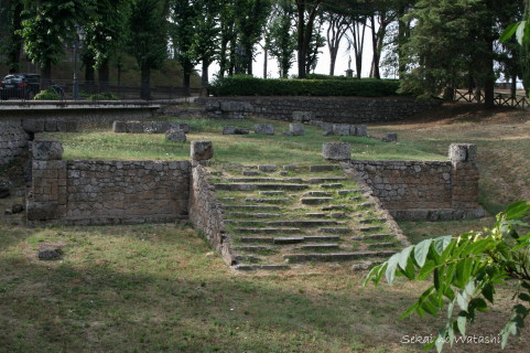 f0077159_532158.jpg